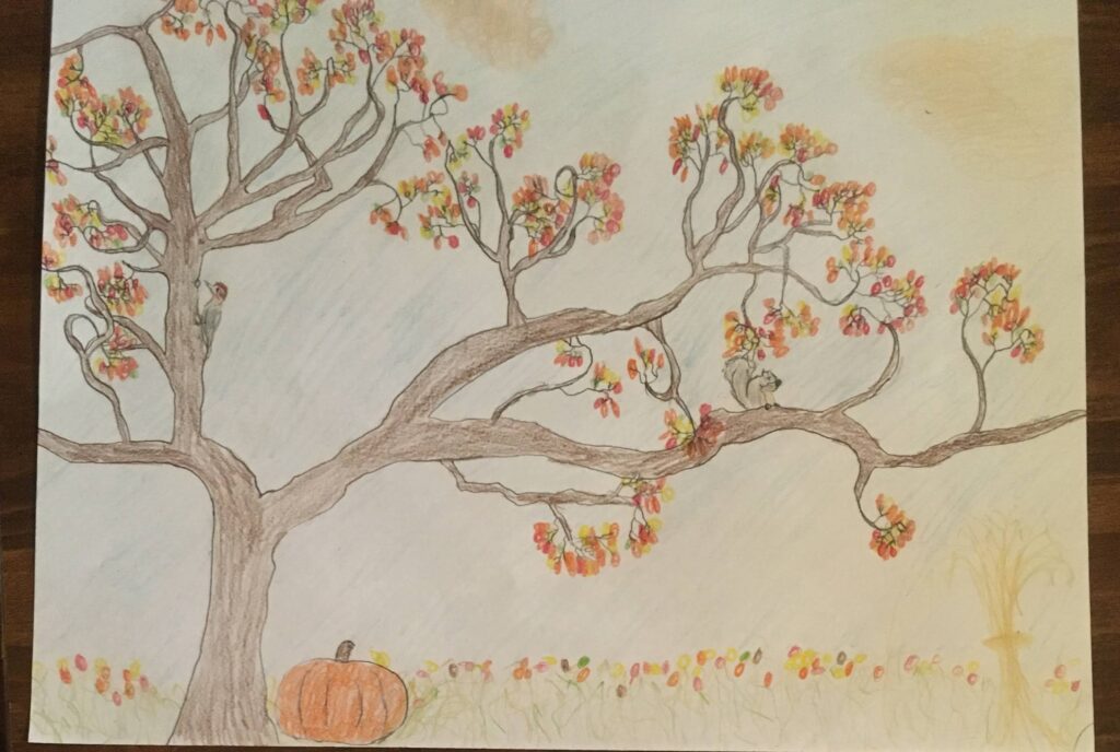 a drawing of a large oak tree with pumpkin under it.