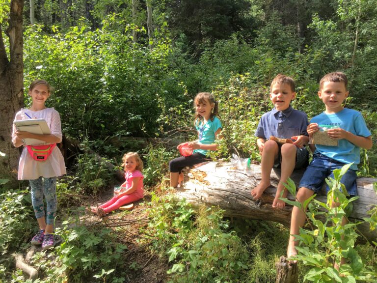 5 kids eating lunch on the rocks and logs at nature school