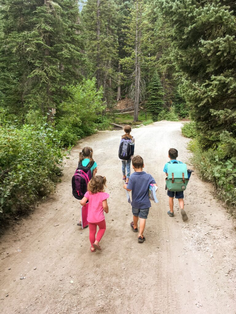 5 little kids hiking with backpacks
