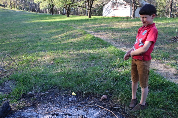 7 year old boy roasts a marshmallow at a campfire in an open field