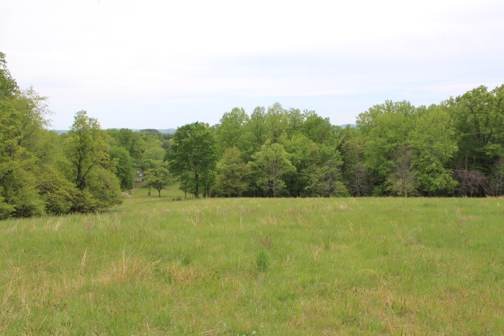 view of pasture and trees beyond in spring.