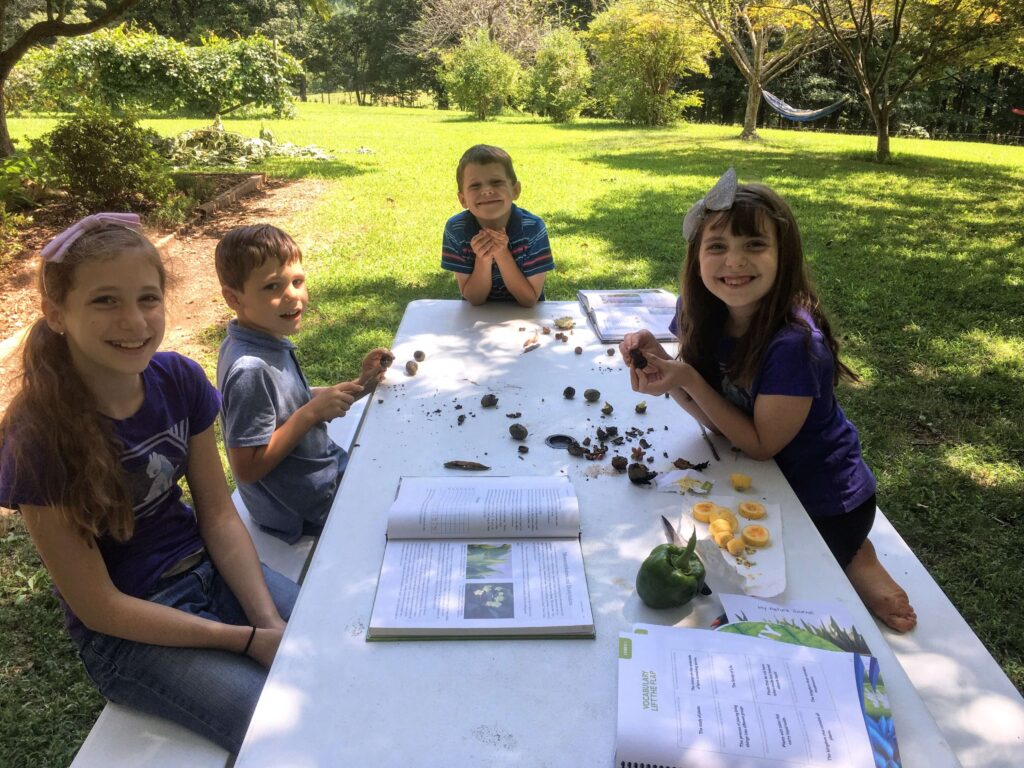4 children do botany outside on a picnic table for homeschool