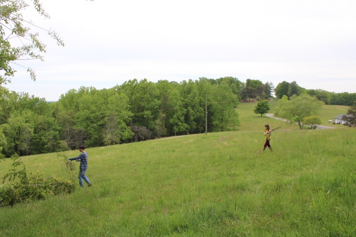 2 kids in the distance in a pasture in spring