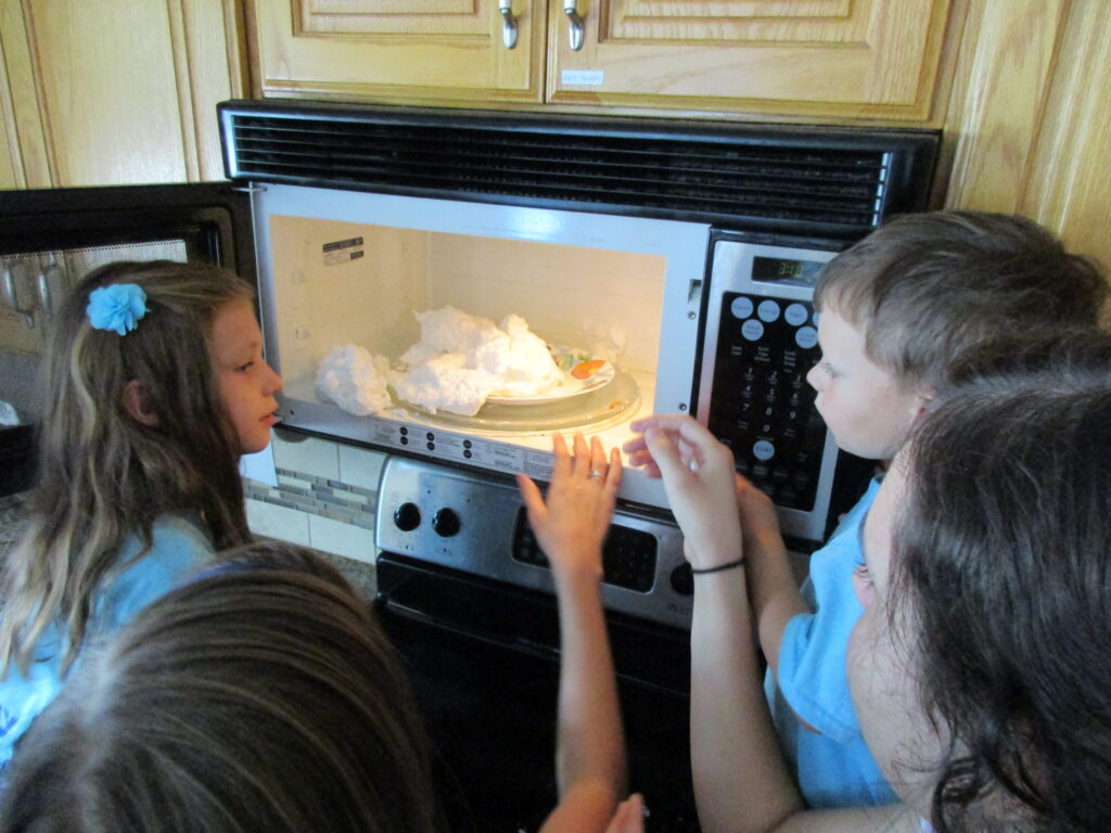 a bar of soap explodes in the microwave for a homeschool science project.