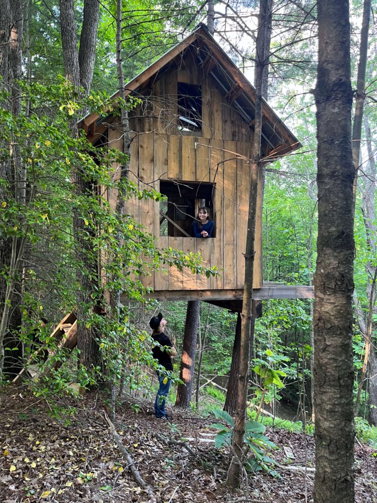fancy treehouse in the woods