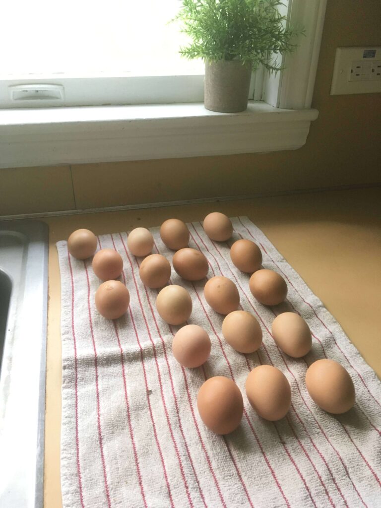 18 eggs sitting on a towel on the counter