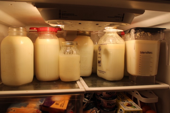 fridge full of jars of fresh raw milk