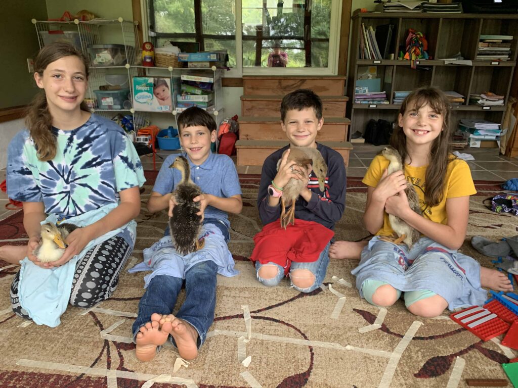 4 kids holding their pet ducks.