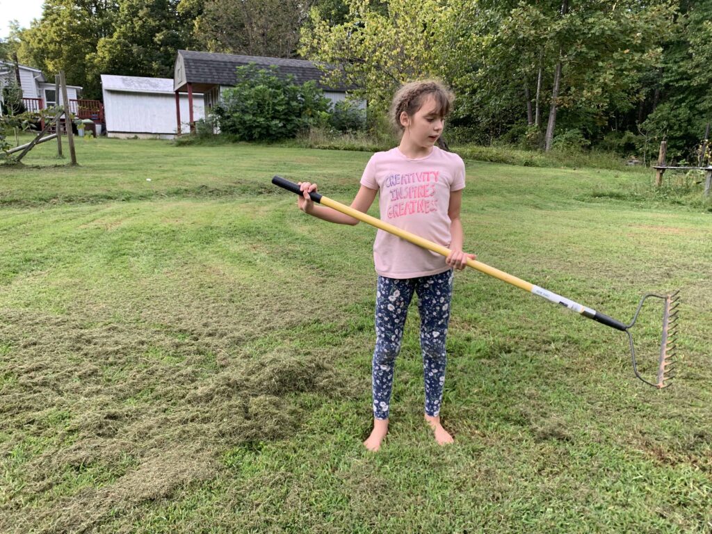 Girl raking grass