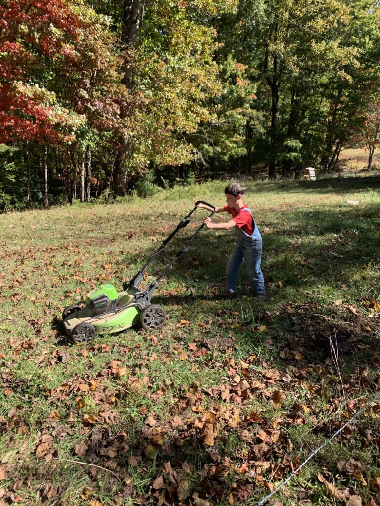 8 year old push mowing in fall