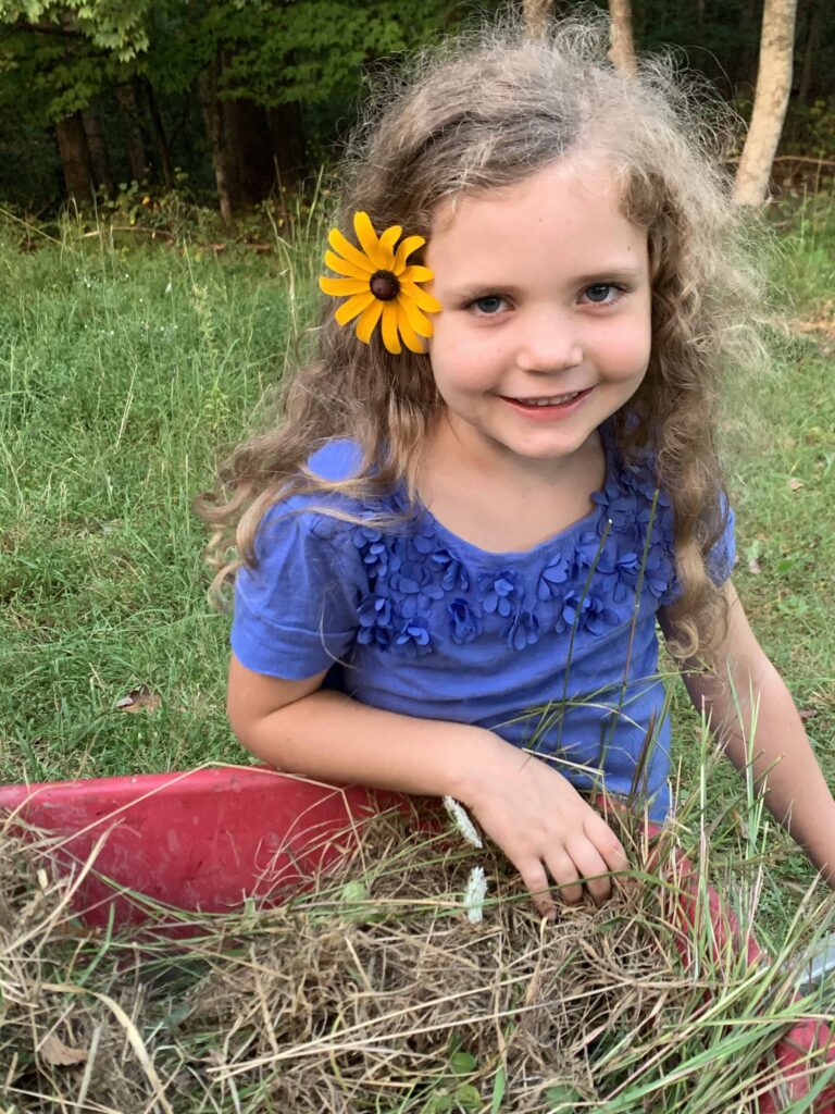 6 year old girl with a flower in her hair