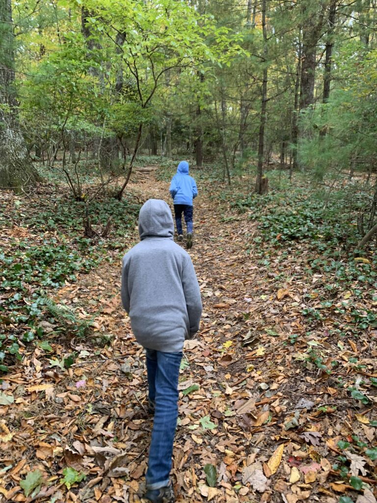 two little boys hiking cumberland knob in NC