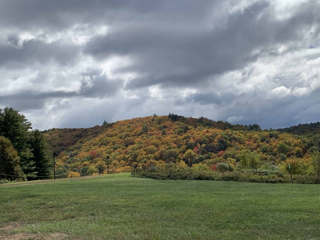hill of colorful fall trees right off the Blue Ridge Parkway by the Blue Ridge Music center
