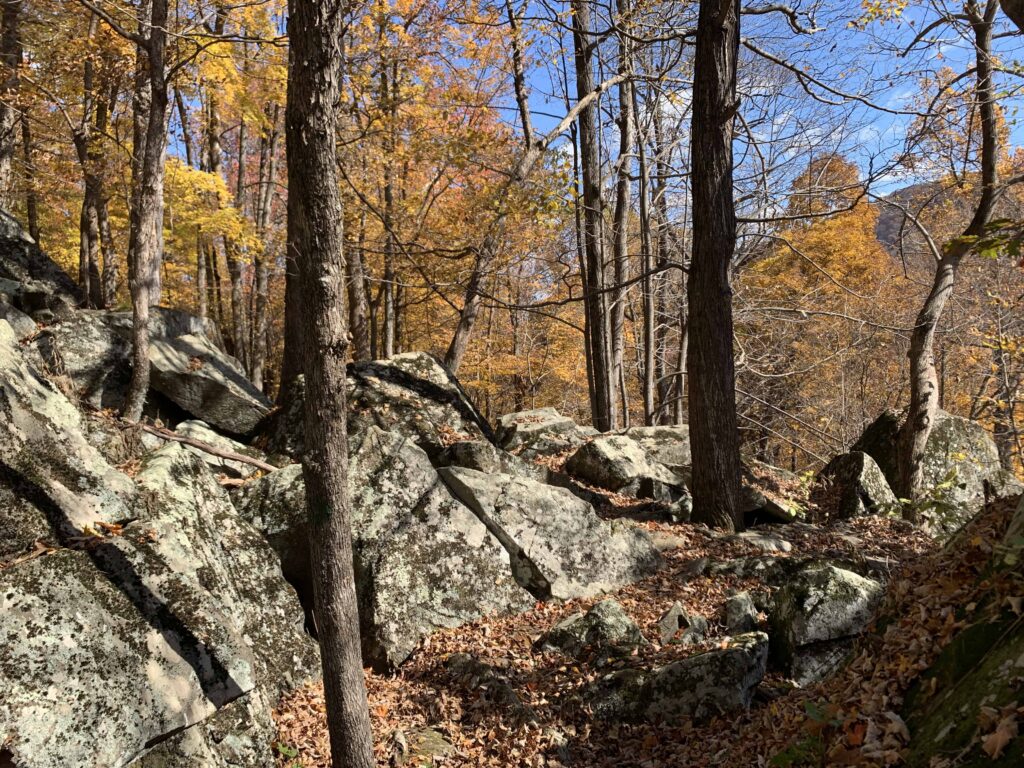 boulders in rock castle gorge
