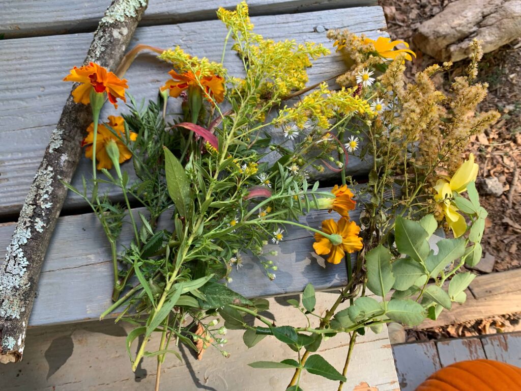 collection of wildflowers just picked on the porch