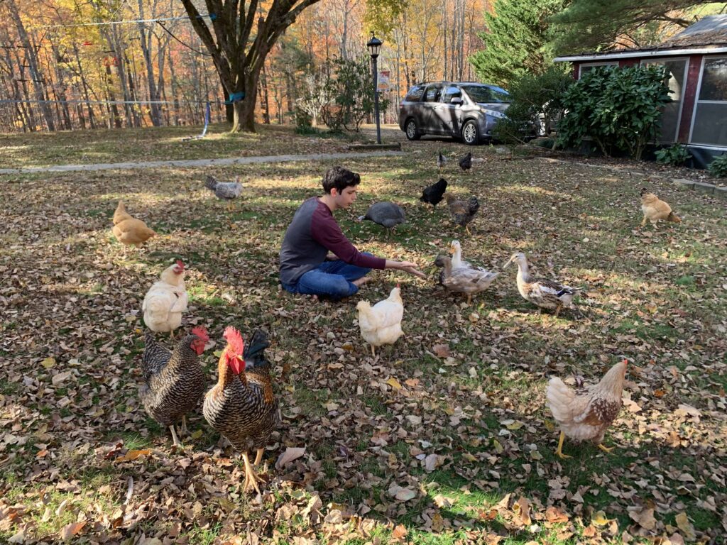 teen boy sitting on the grass with chickens around him in fall